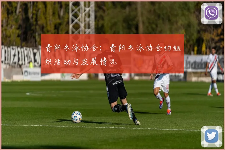 青阳冬泳协会：青阳冬泳协会的组织活动与发展情况