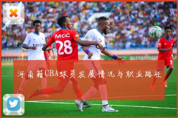 河南籍CBA球员发展情况与职业路径