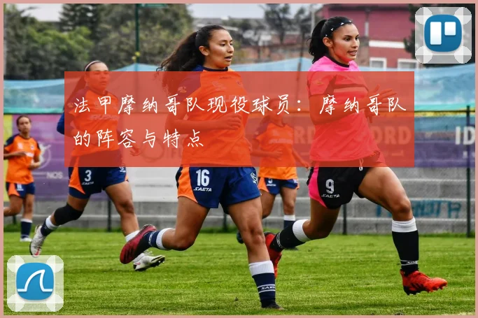 法甲摩纳哥队现役球员：摩纳哥队的阵容与特点