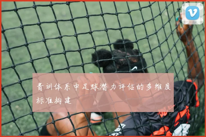 青训体系中足球潜力评估的多维度标准构建